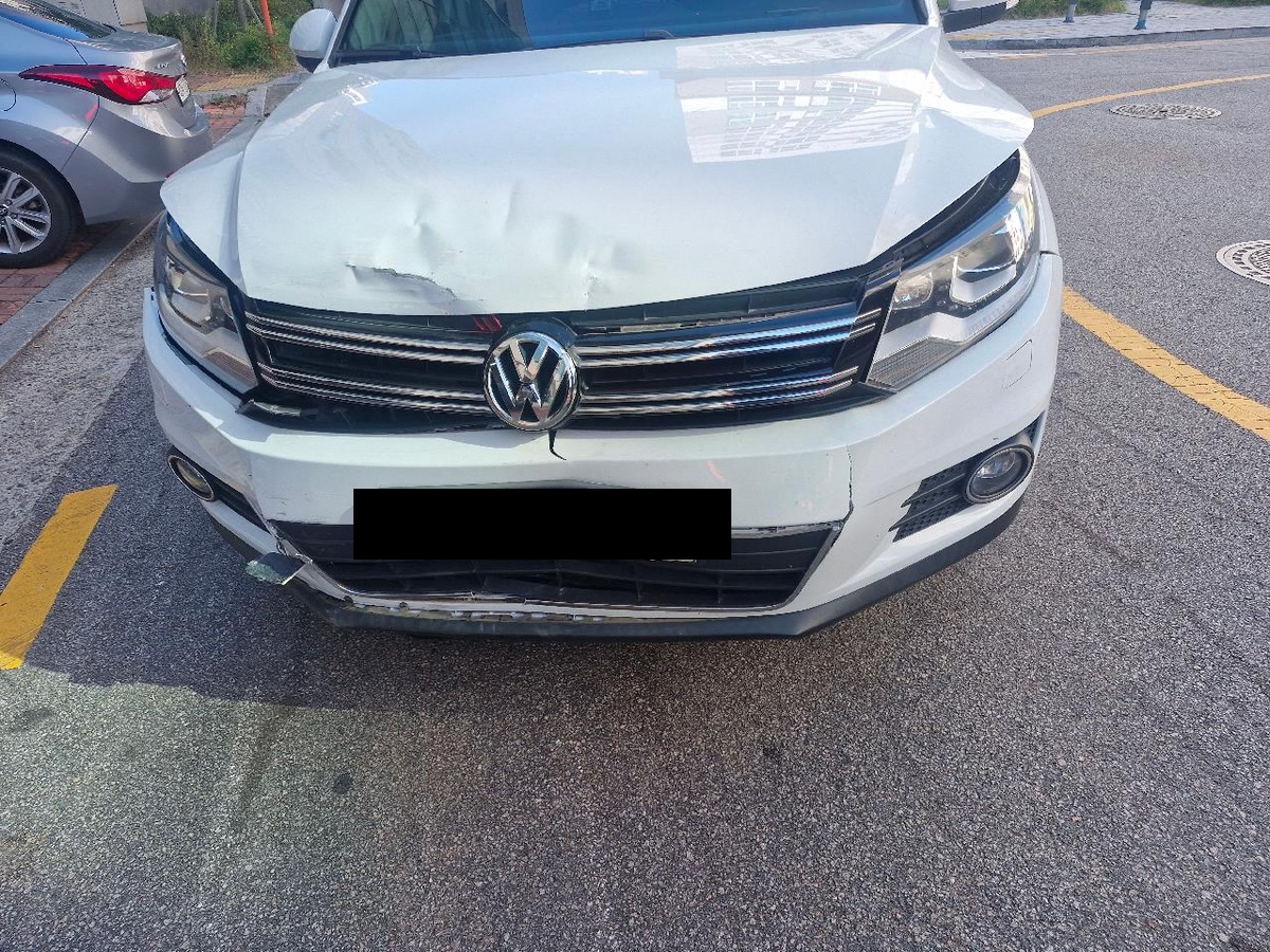 Volkswagen Volkswagen Tiguan 2.0 TDI BlueMotion Automatic